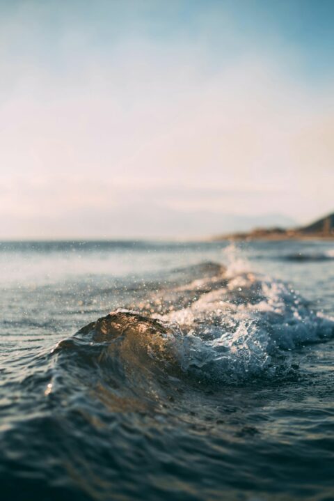 a wave in the water